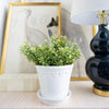 Faux Boxwood Bush 12" styled in a white pot with artwork. Styled view. 