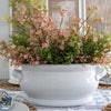 Faux Boxwood Bush 12" Greenery 