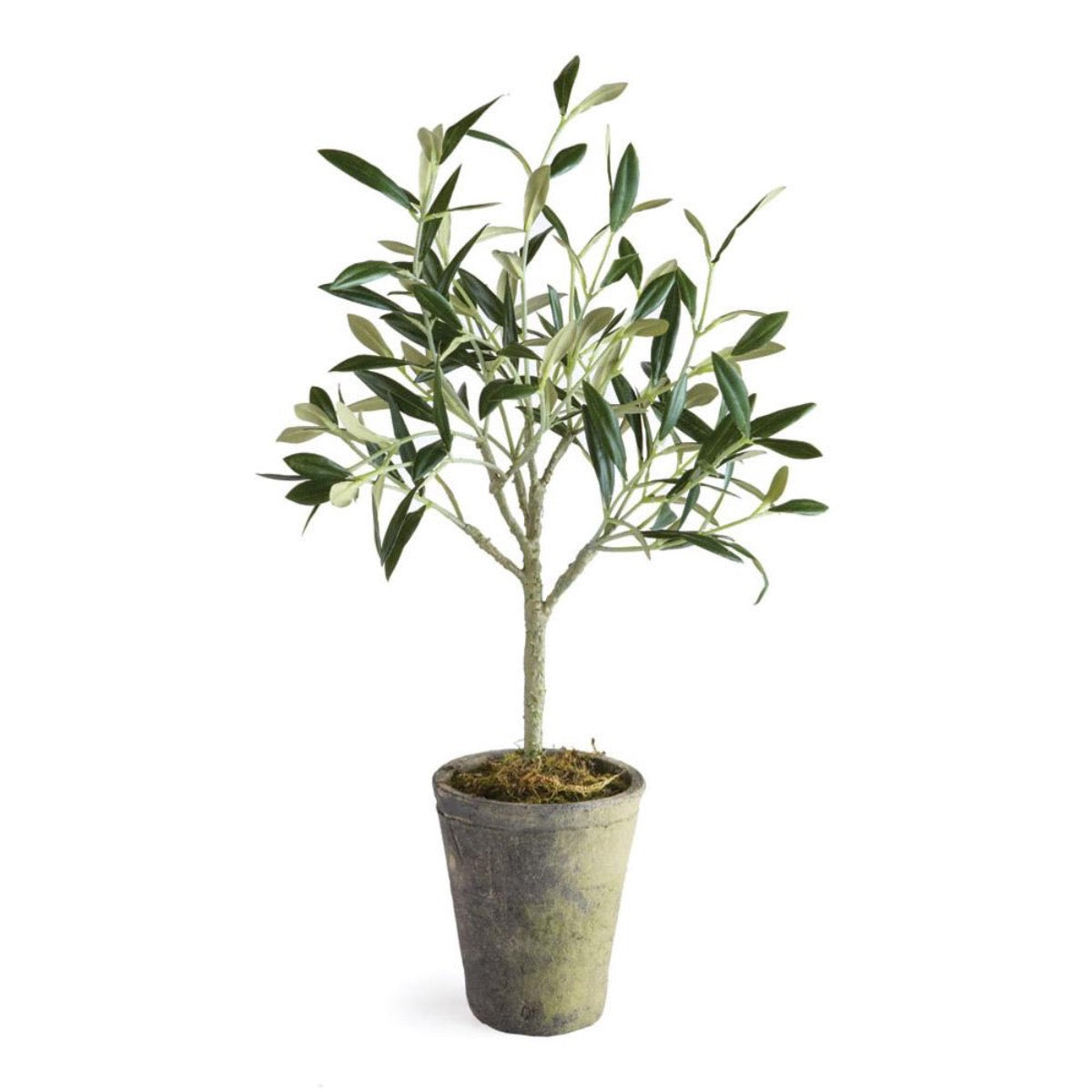 Faux Potted Olive Tree 17". Front view. 