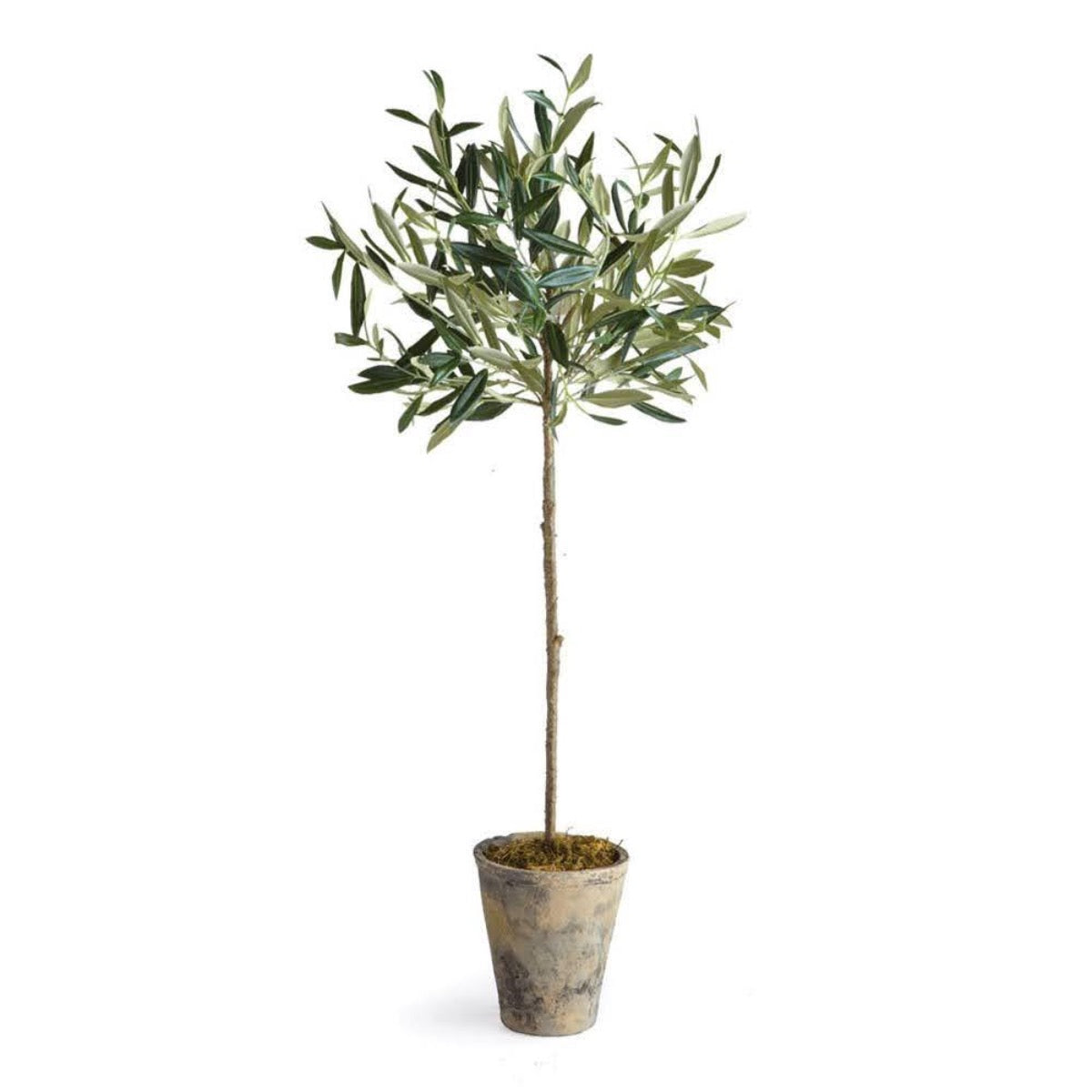Faux Potted Olive Tree 30". Front view. 
