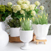 Faux Viburnum Stem 30" Greenery 
