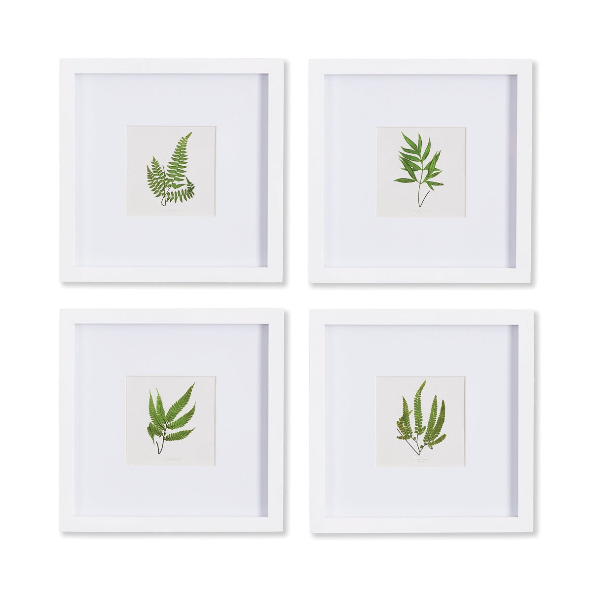 Forest Greenery Prints - Set of 4. Front view.
