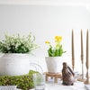 Leta Teak Stand styled with florals and pots. Styled view.