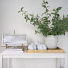 Petite Scapes - Coastal Scene with Cliffs styled on a white table with white decor. Styled view.