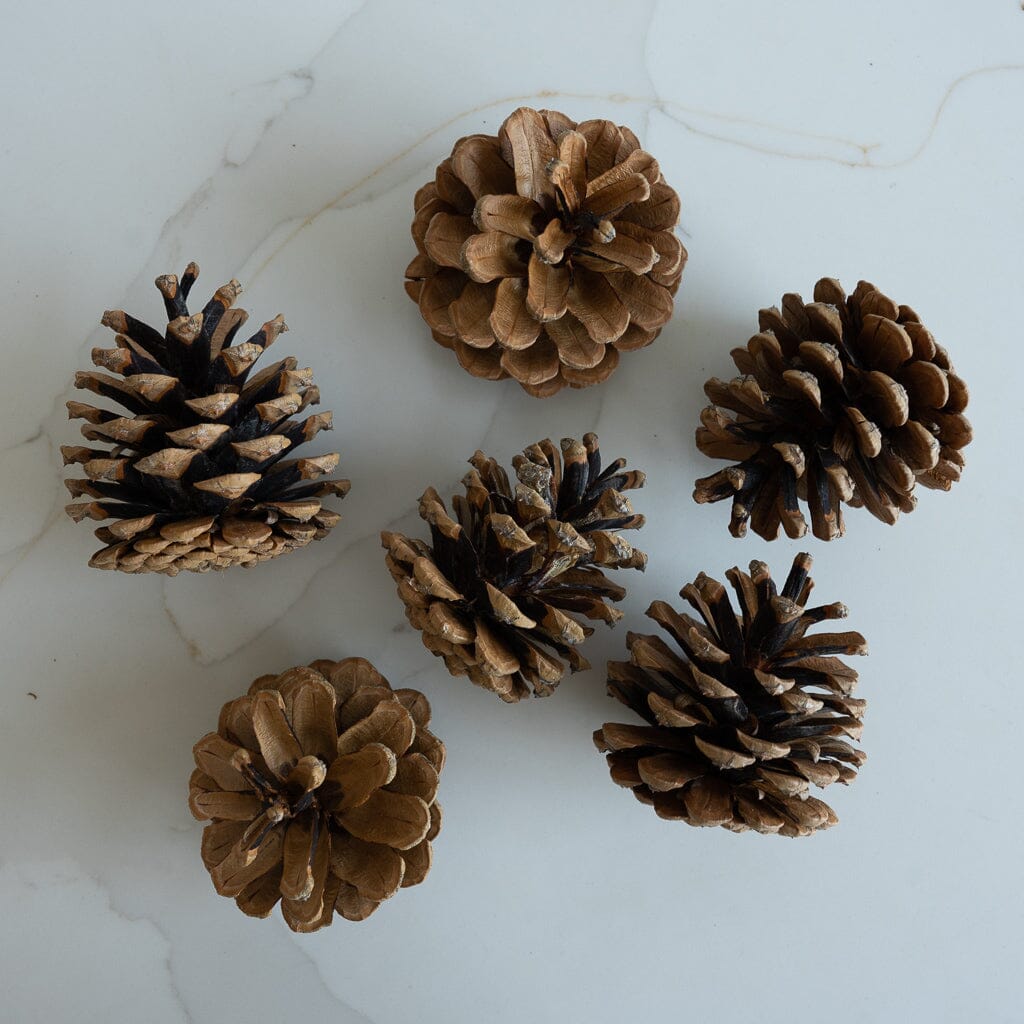 Pinecones Greenery 