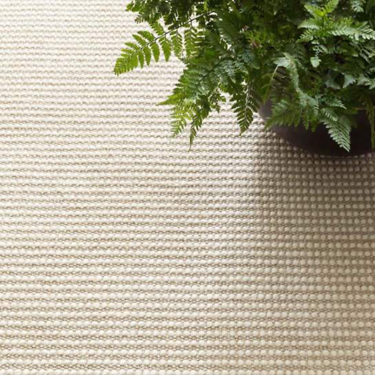 Pixel Wheat Woven Sisal/Wool Rug styled under a plant. Styled view. 