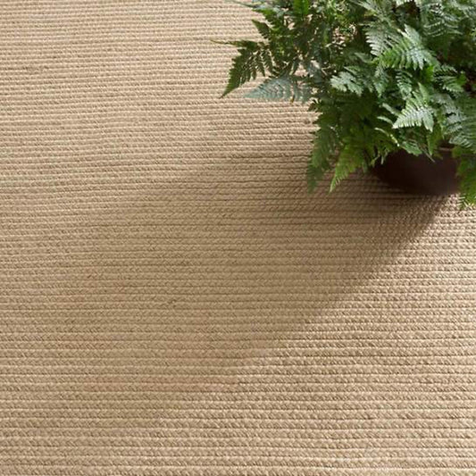 Rio Braided Indoor/Outdoor Rug styled under a plant. Styled view. 