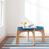Road Runner Blue Indoor/Outdoor Rug Rugs 