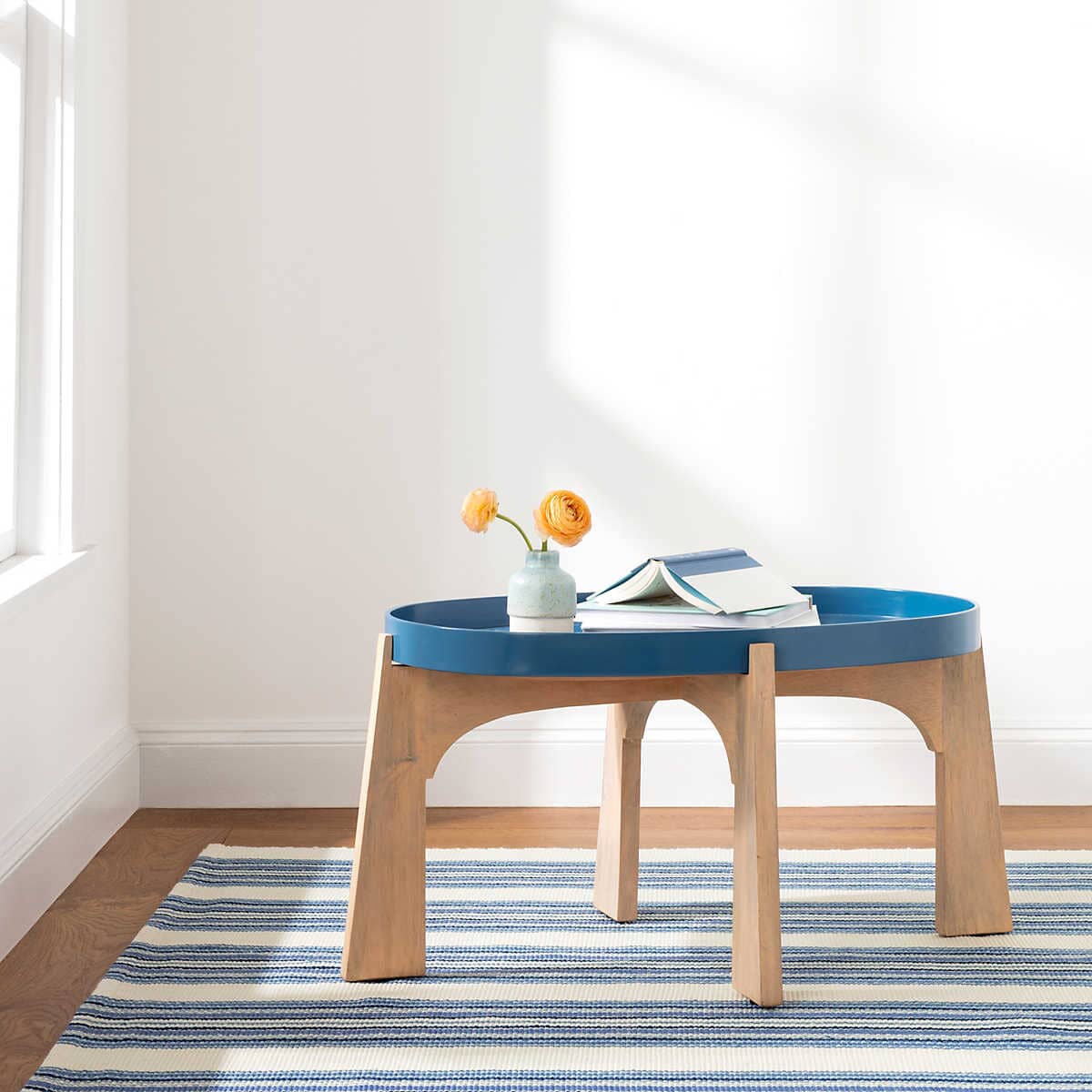 Road Runner Blue Indoor/Outdoor Rug Rugs 
