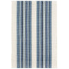 Road Runner Blue Indoor/Outdoor Rug Rugs 