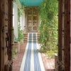 Road Runner Blue Indoor/Outdoor Rug Rugs 