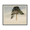 Scottish Fir Tree in black frame. Framed art. Front view.