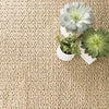 Veranda Natural Indoor/Outdoor Rug styled under plants. Styled view. 