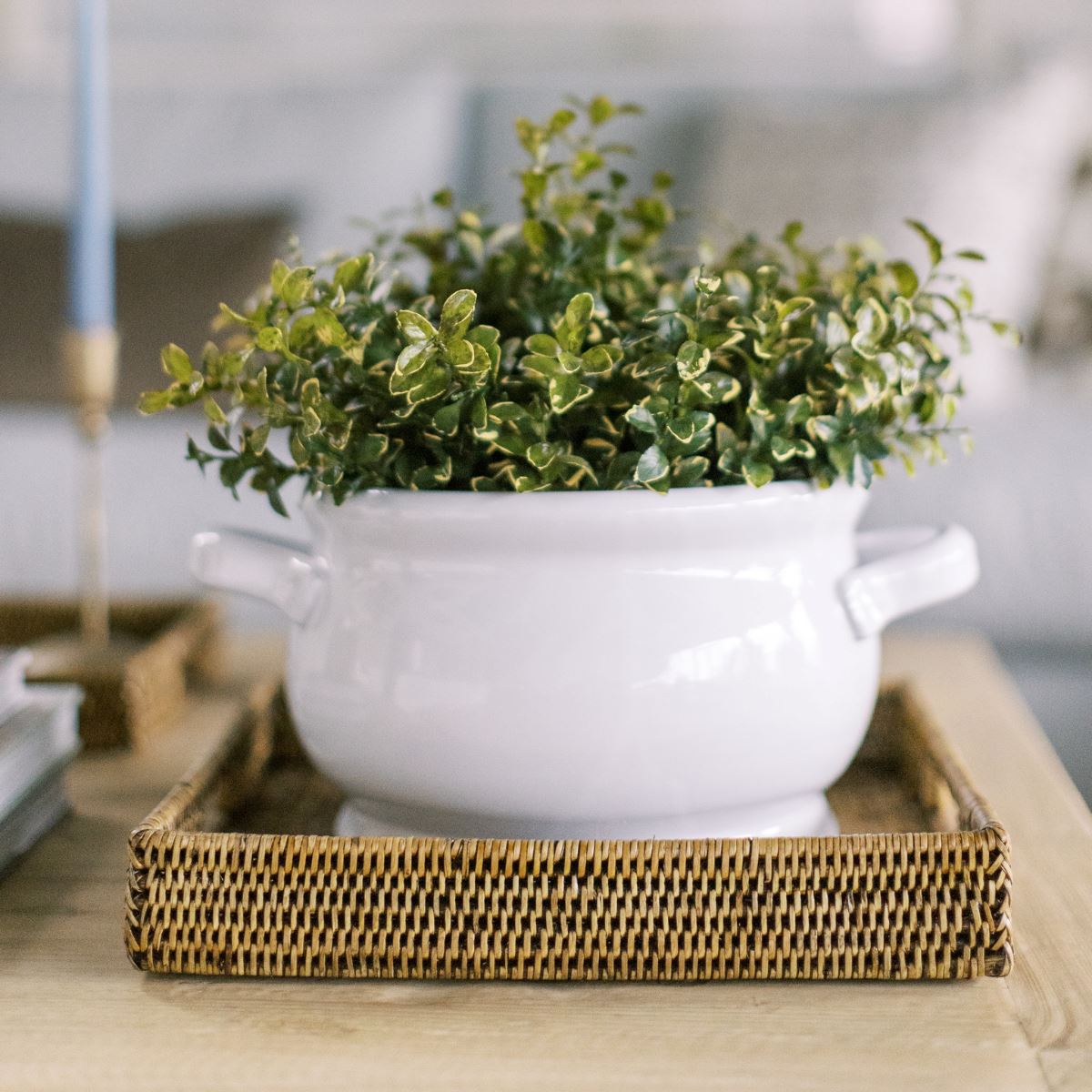 Wilmot Rattan Tray Baskets & Trays 