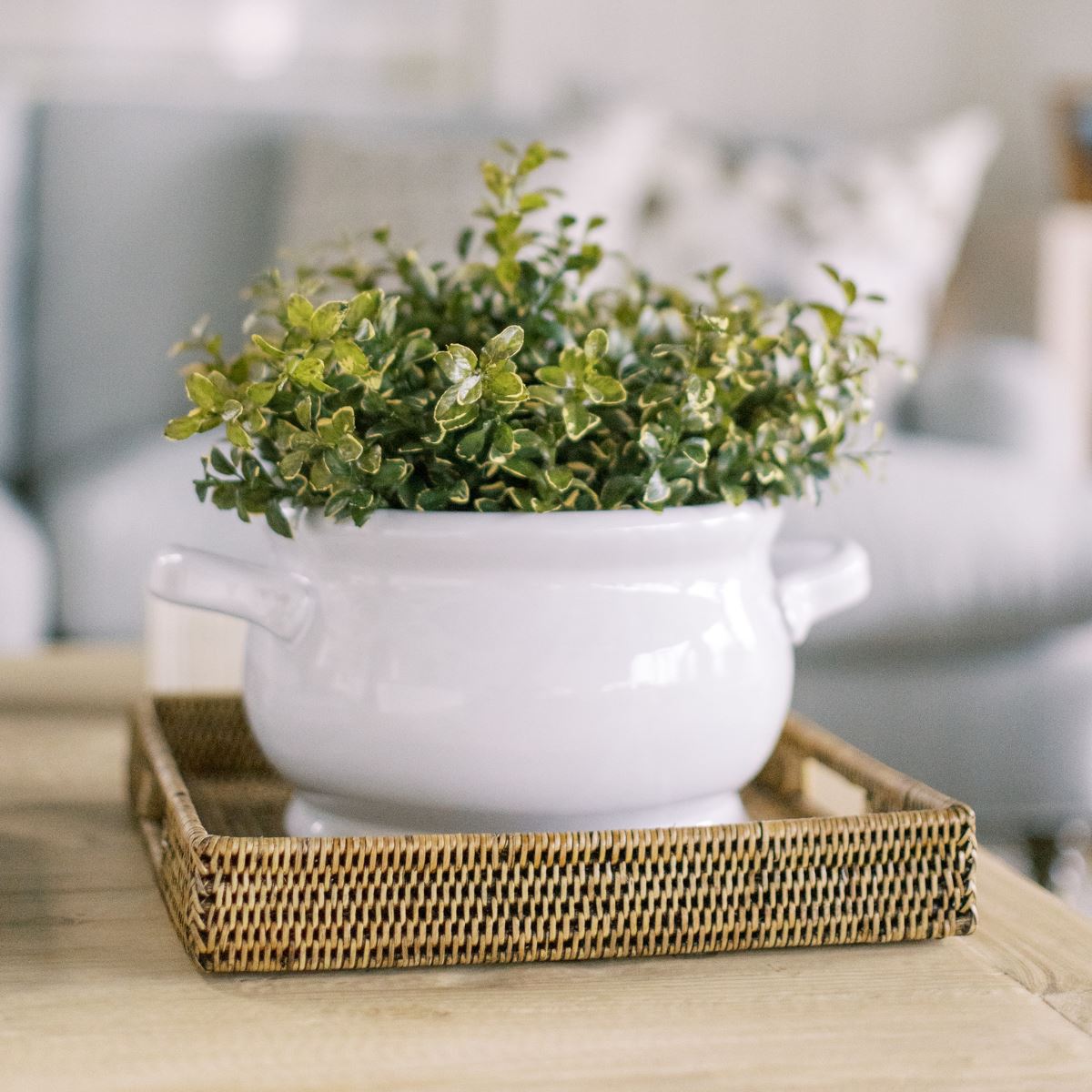 Wilmot Rattan Tray Baskets & Trays 